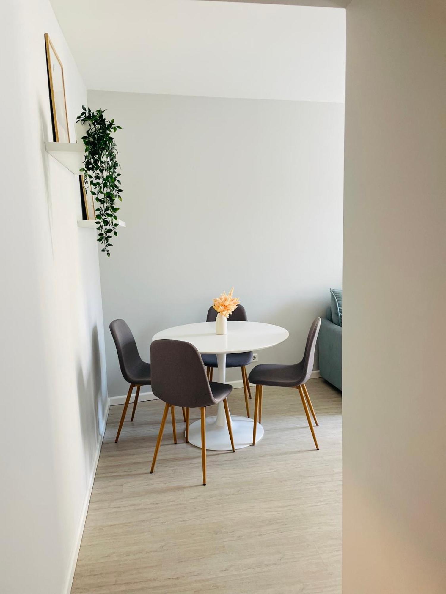 Jano Apartment Klaipeda City Center Buitenkant foto