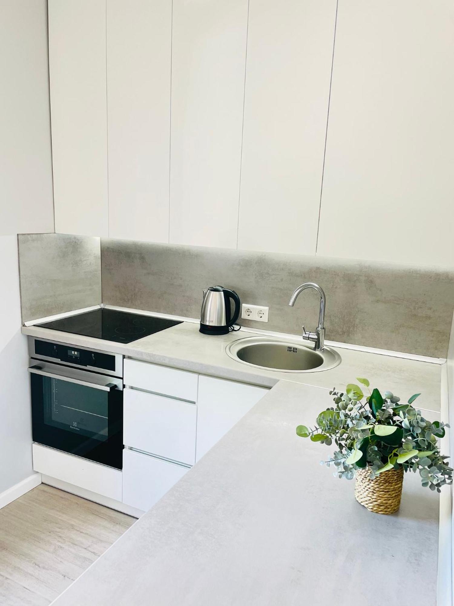 Jano Apartment Klaipeda City Center Buitenkant foto